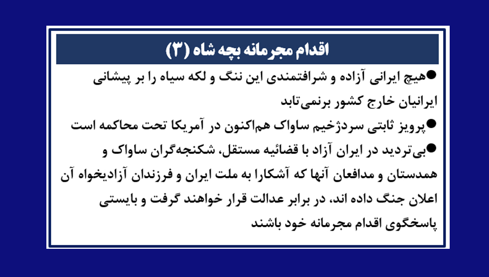 اقدام مجرمانه بچه شاه (۳)